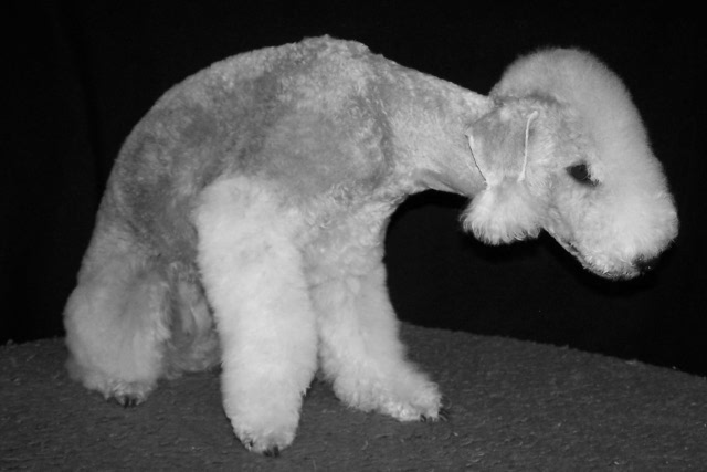 Alanna 02.03 (2).JPG